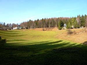 06 Stranice - osameli kras (Foto 6, Arhiv ZRSVN OE Celje)